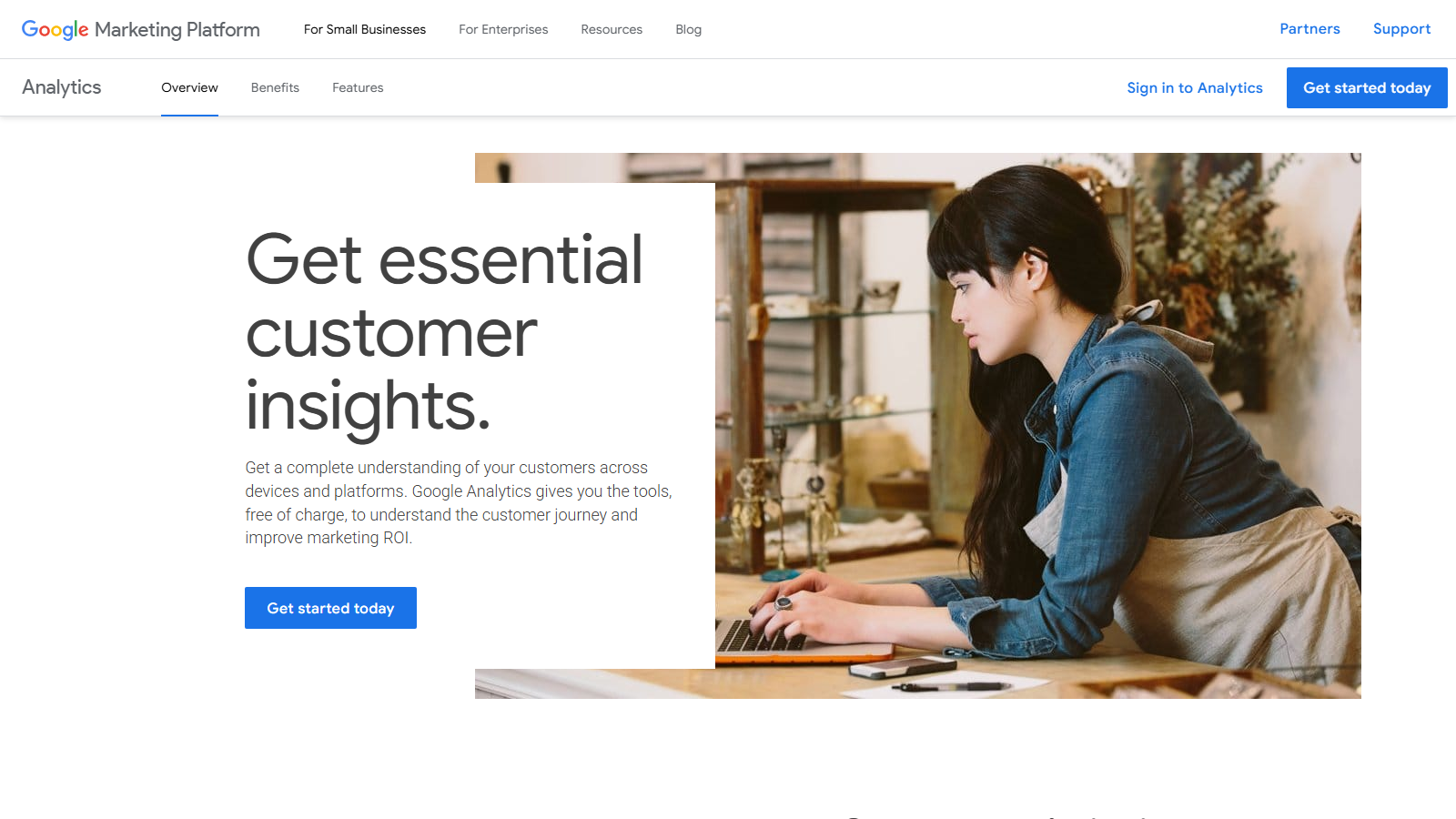 Google Analytics overview page
